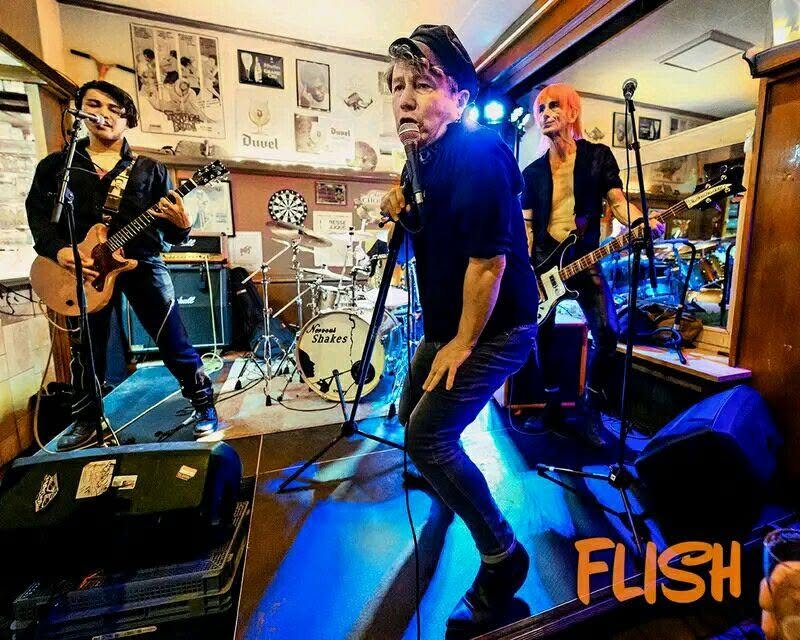 shake1.jpg